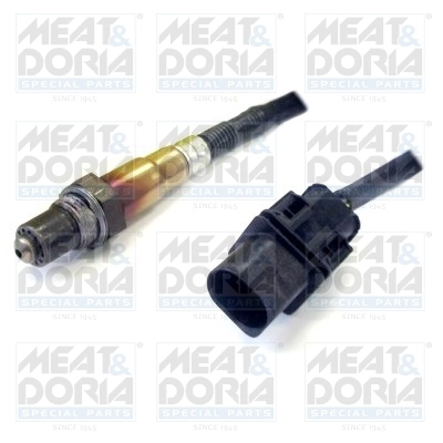 Oxygen Sensor